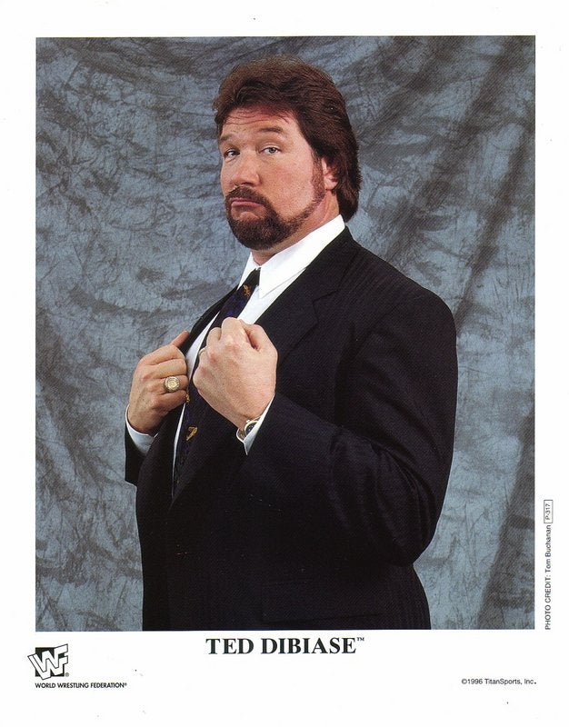 1996 Ted Dibiase P317 color PW Catalog