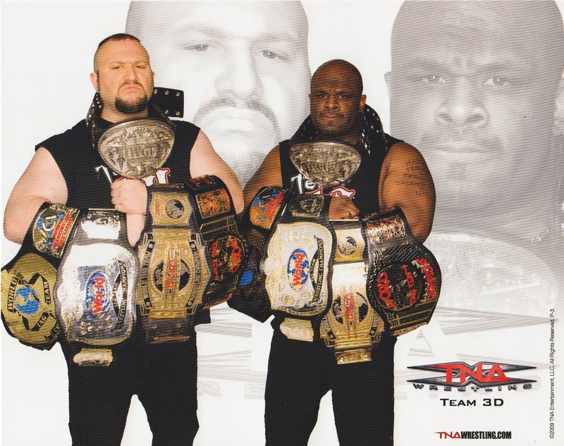 2009 TNA TAG TEAM CHAMPIONS Team 3D P-3 PW Catalog
