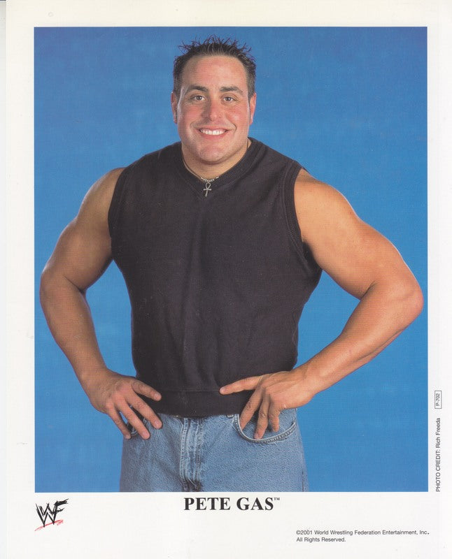 2001 Pete Gas P702 color PW Catalog