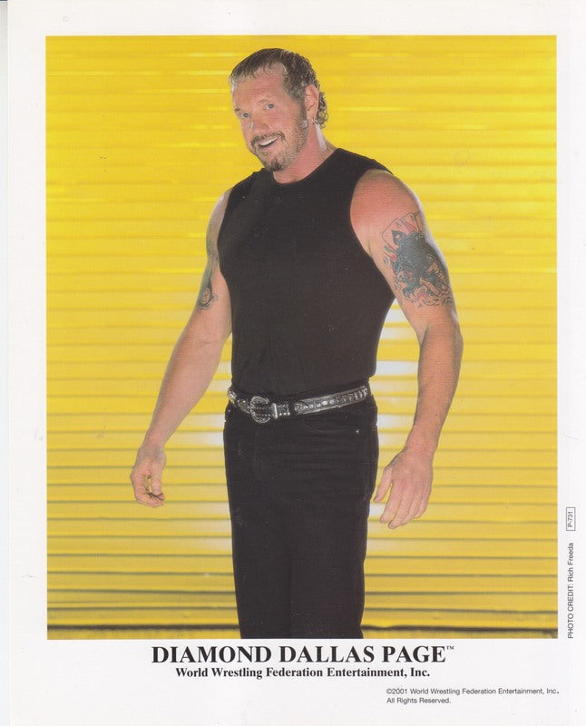 2002 Diamond Dallas Page P731 color 