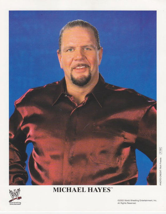 2002 Michael Hayes P768 Color