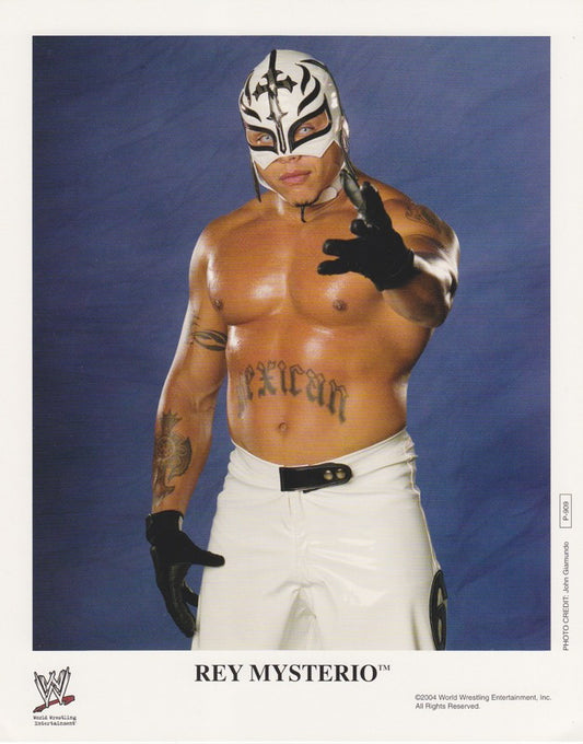 2004 Rey Mysterio P909 Color
