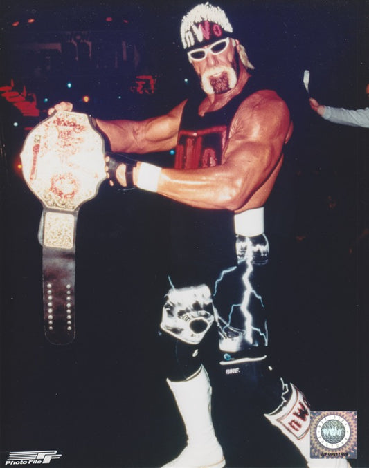 1999 WCW CHAMPION Hollywood Hogan Licensed Photofile Color