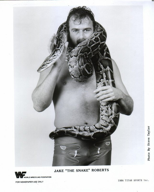 1986 Jake "The Snake" Roberts (debut promo) PWcatalog