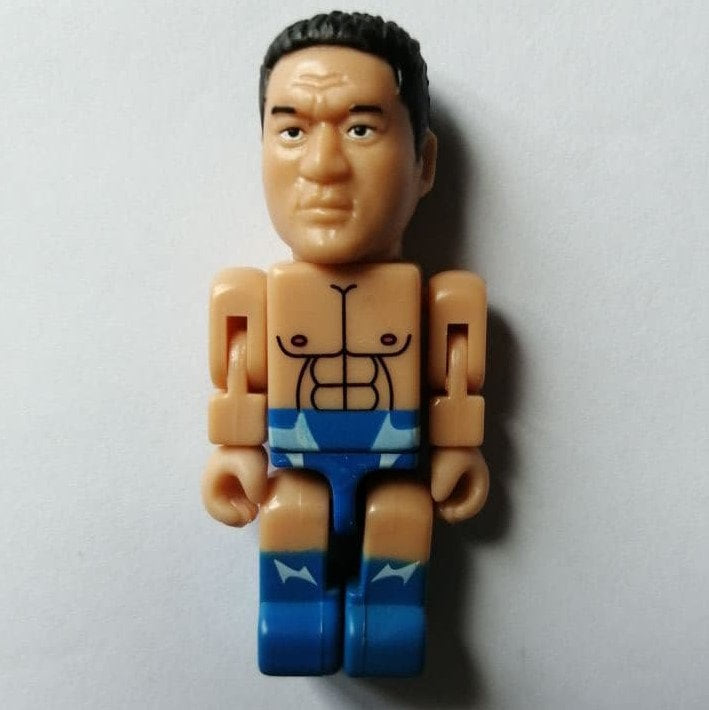 NJPW Run'A Tinibiz 1 Yuji Nagata [In Ring Gear]