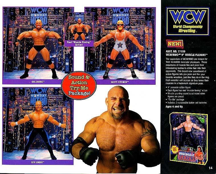WCW Toy Biz Unleashed Shane Douglas – Action & Toy Figures – PW