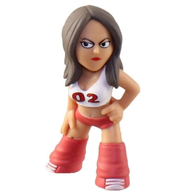 WWE Funko Mystery Minis 1 Nikki Bella