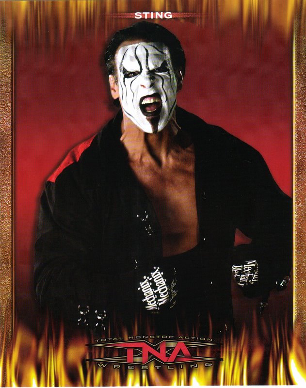 2006 TNA Sting PW Catalog