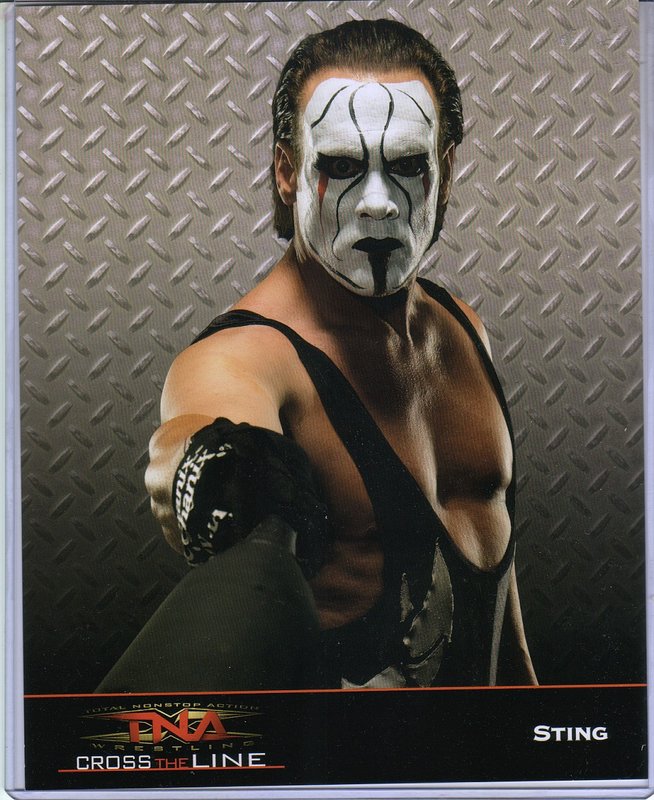 2008-2009 TNA Sting PW Catalog