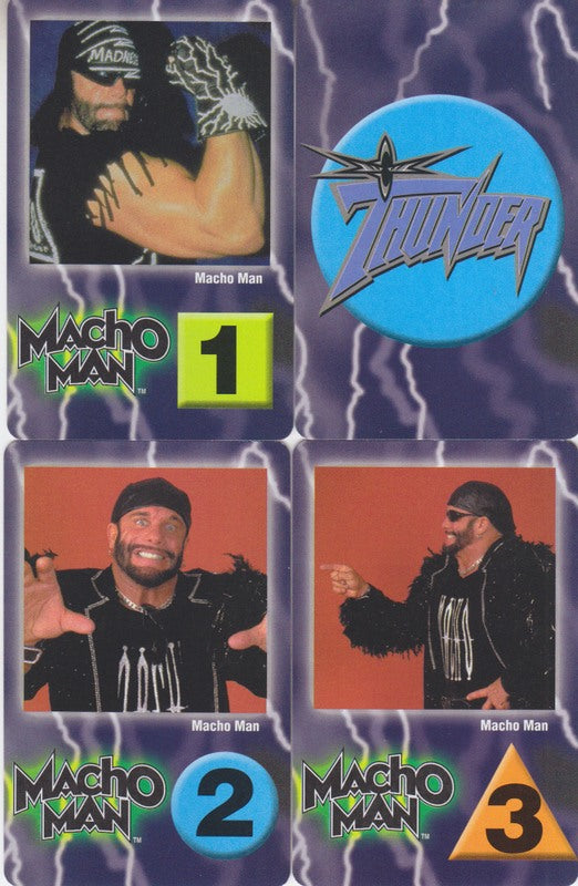 1999 WCW Thunder Trading Card Game set (36) NM 2019 value: $35 PW Catalog