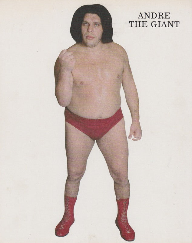 1980's WWWF Andre the Giant Promo Photo PWcatalog